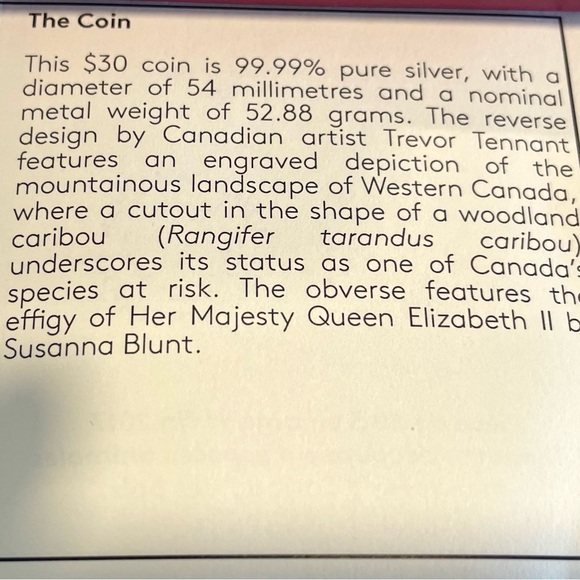This coin is 99.99% pure silver, with a diameter of 54 millimetres. - Picture 5 of 6